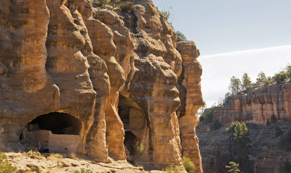 Gila Cliff Swellings